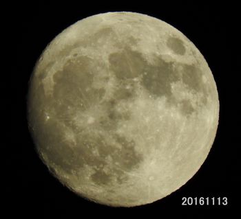 20161113 Moon toubai.jpg