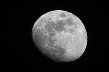20170507 moon.jpg
