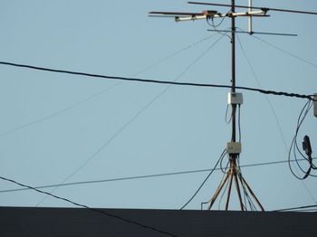 20200530 antena.jpg