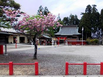 中田神社.jpg