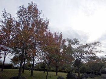 仙台港公園３.JPG